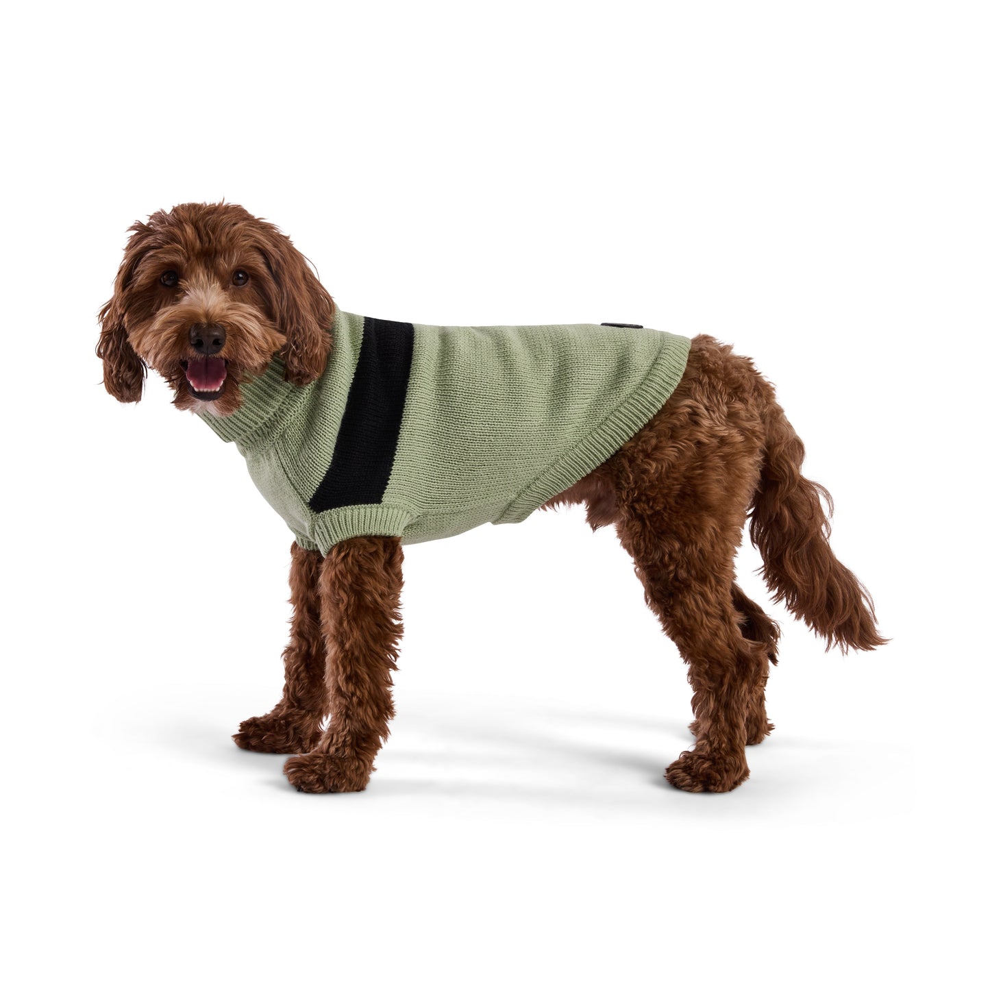 Catalyst Sweater Dog Sweaters Premium Pet Supply Premium - gallery image 12