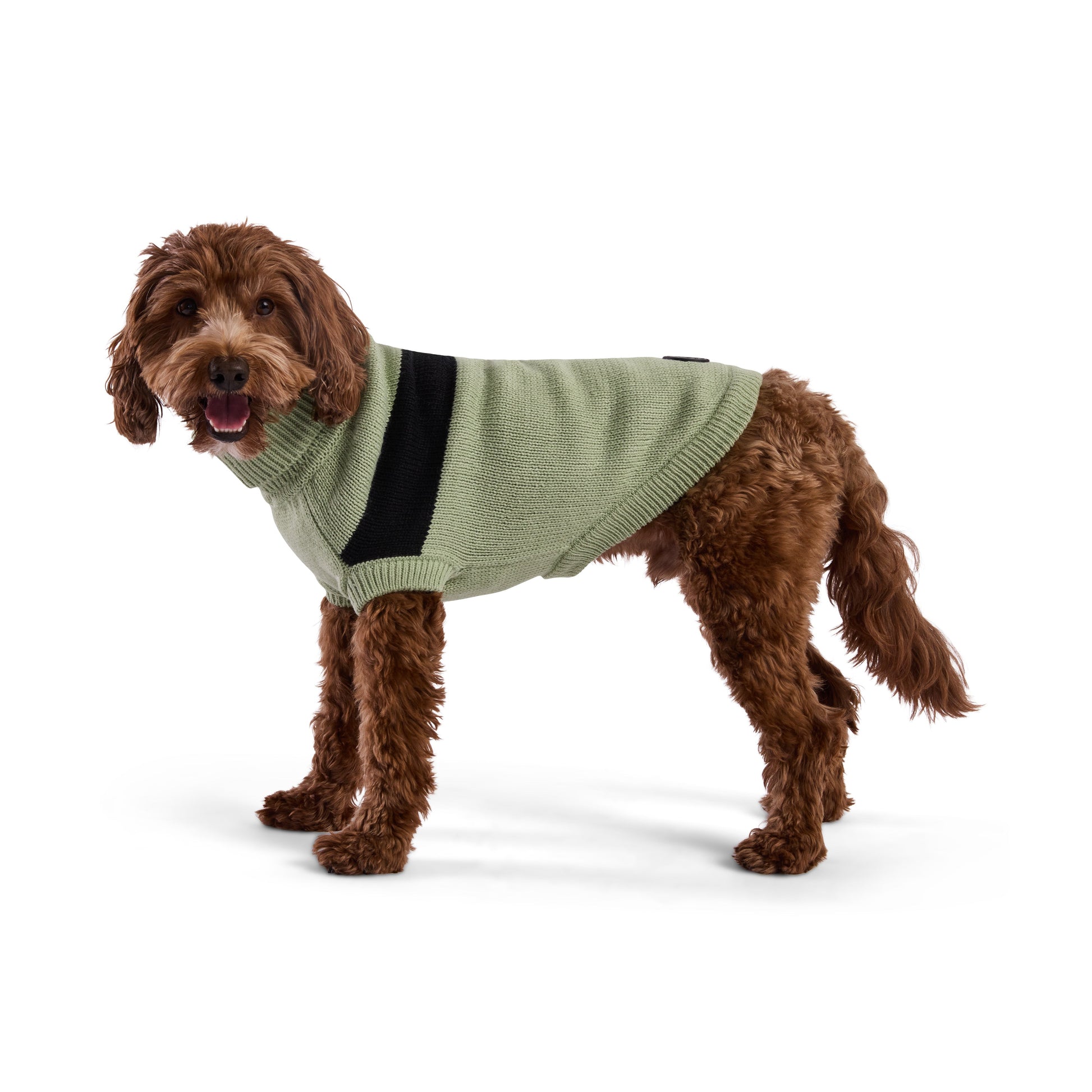 Catalyst Sweater Dog Sweaters Premium Pet Supply Premium - gallery image 12