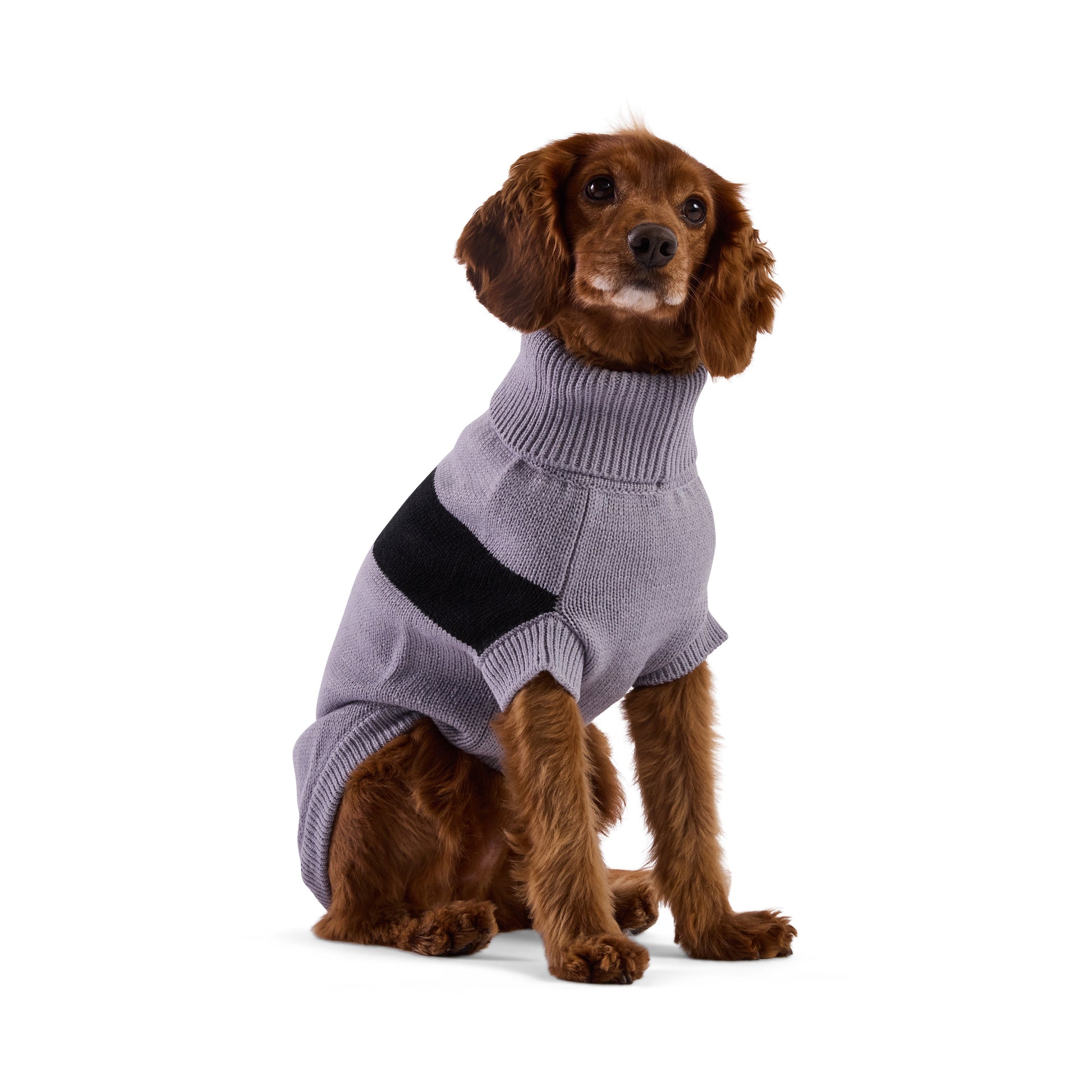 Catalyst Sweater Dog Sweaters Premium Pet Supply Premium - gallery image 14