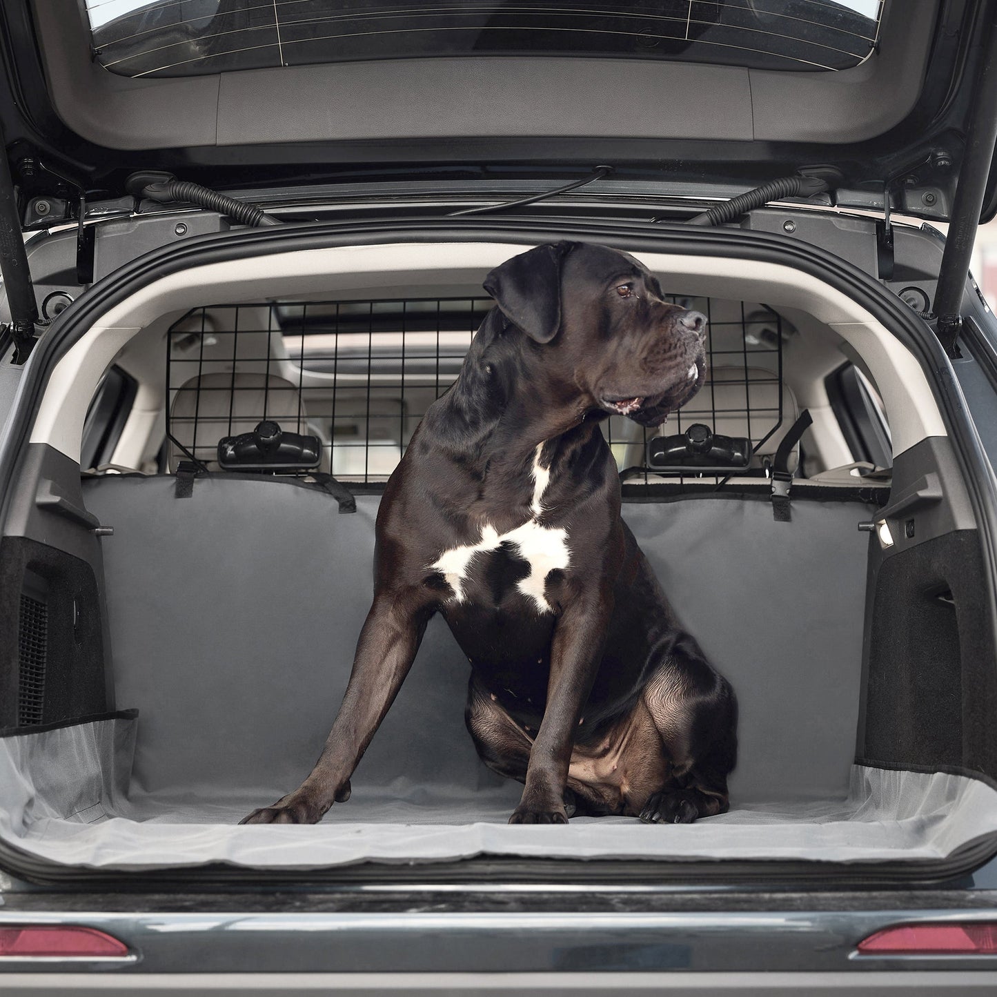 Pet Cargo Cover Dog Travel Accessories Premium Pet Supply - main product image