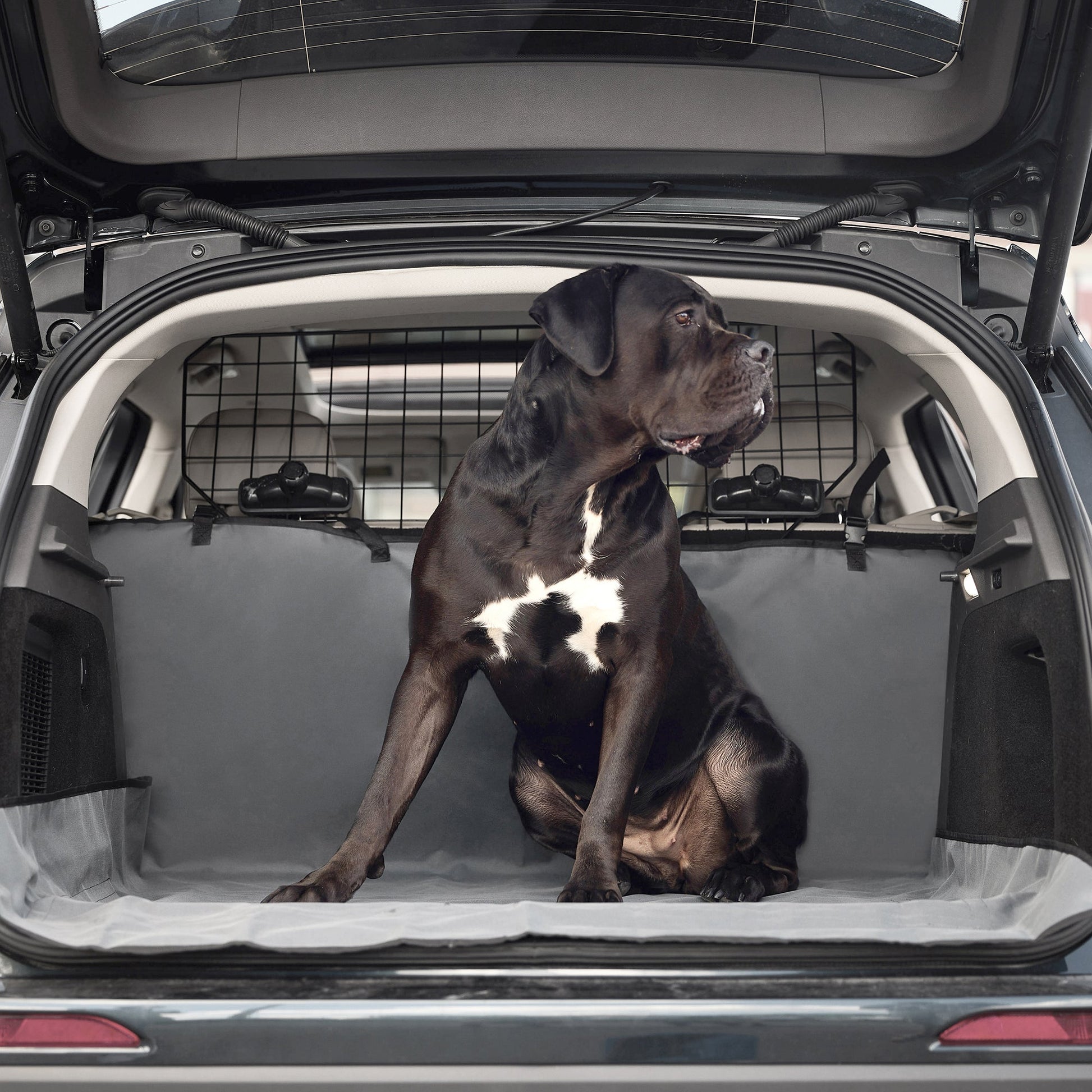 Pet Cargo Cover Dog Travel Accessories Premium Pet Supply - main product image