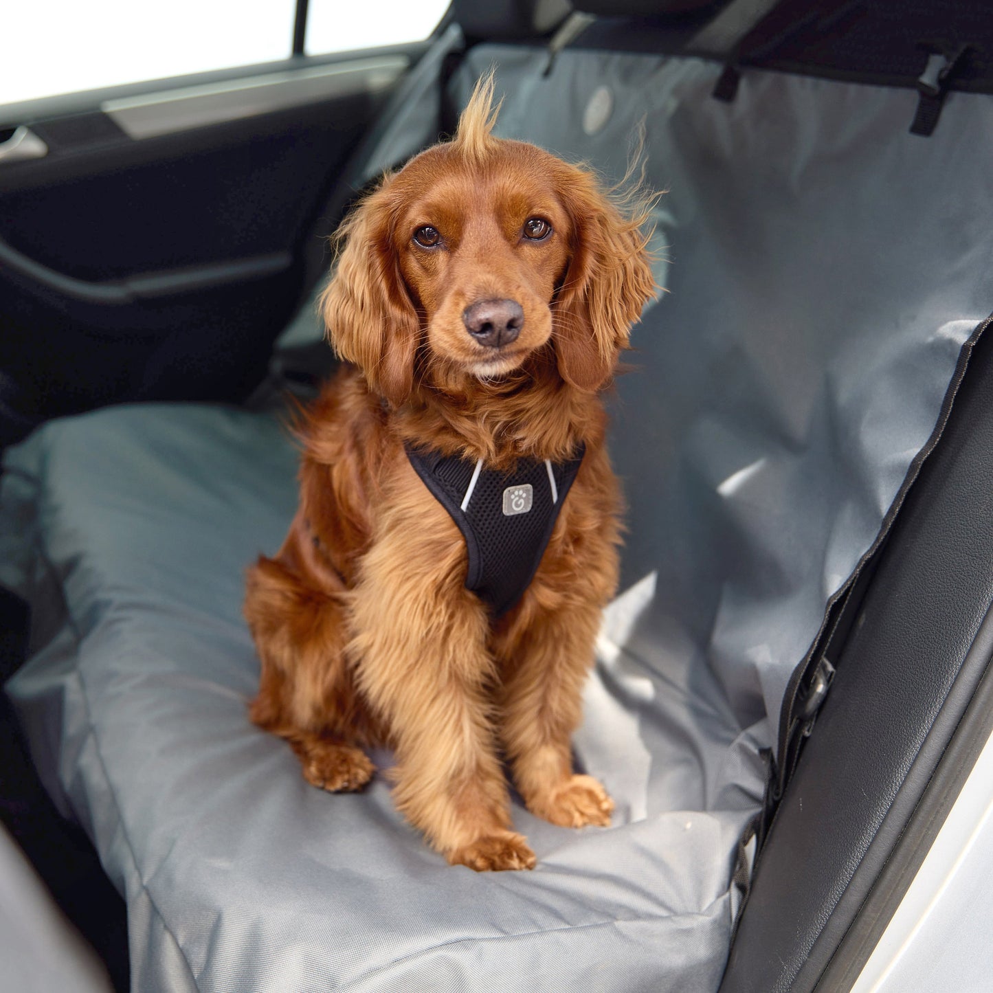 Pet Bench Cover Dog Raincoats Premium Pet Supply Premium - main product image