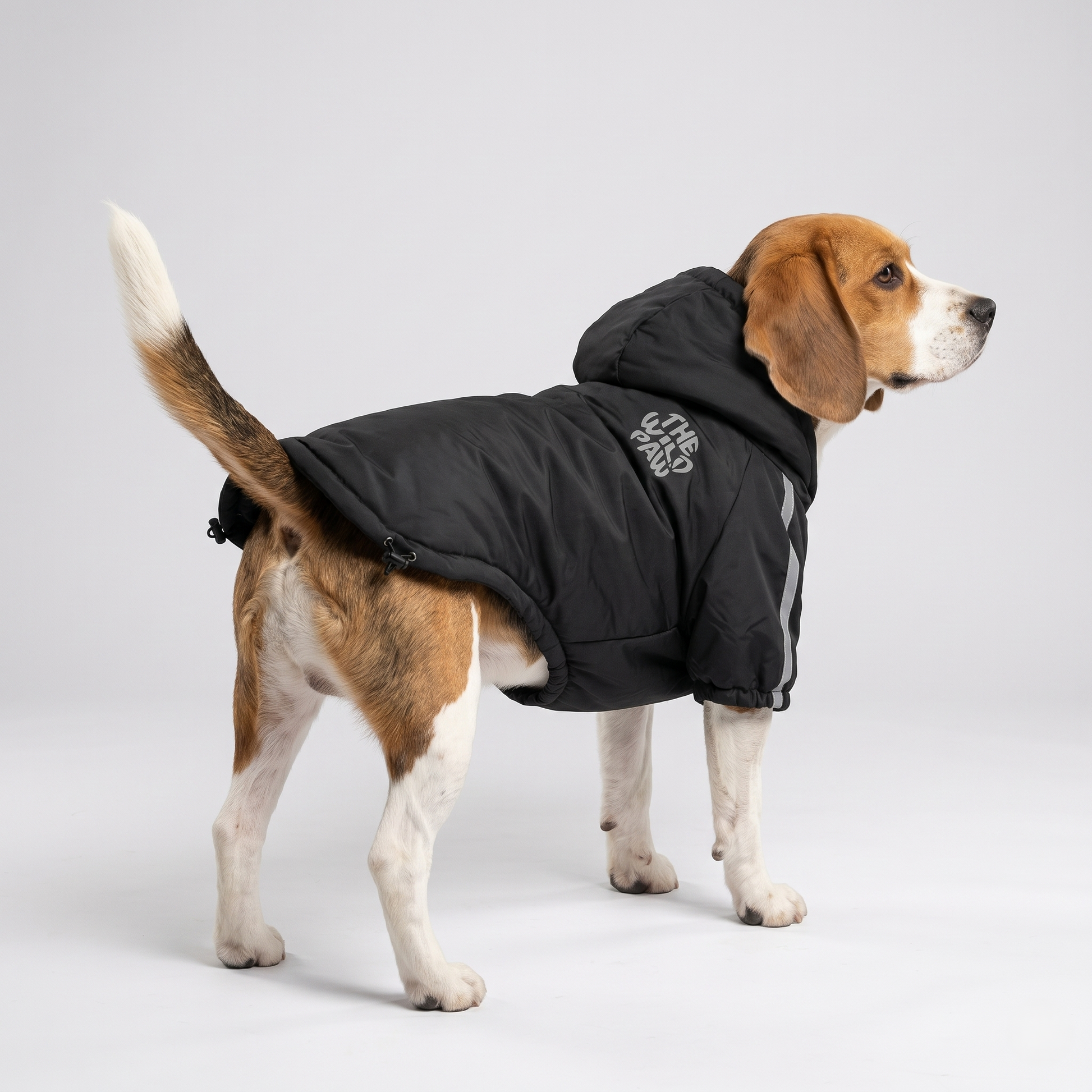 HydroHike Jacket - lifestyle view