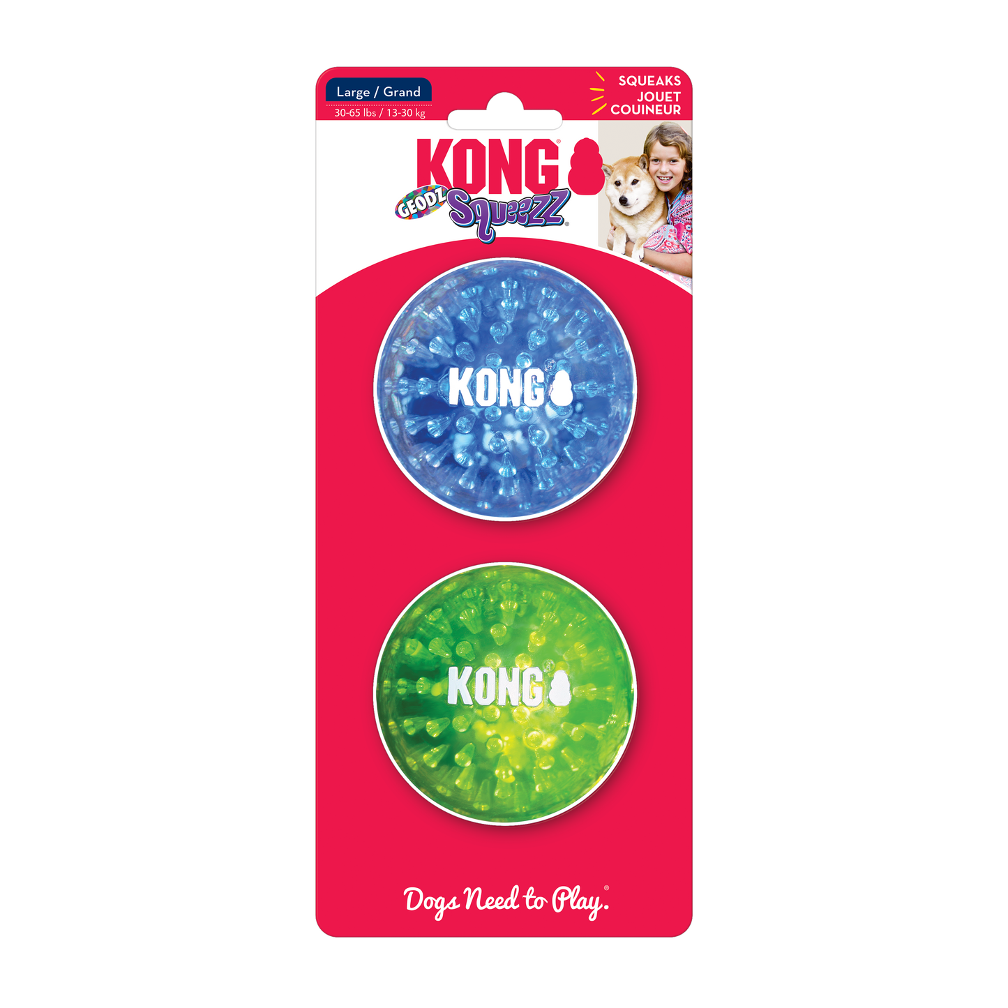 KONG Squeezz Geodz Large 2 Pack Interactive Dog Toy Durable - lifestyle view