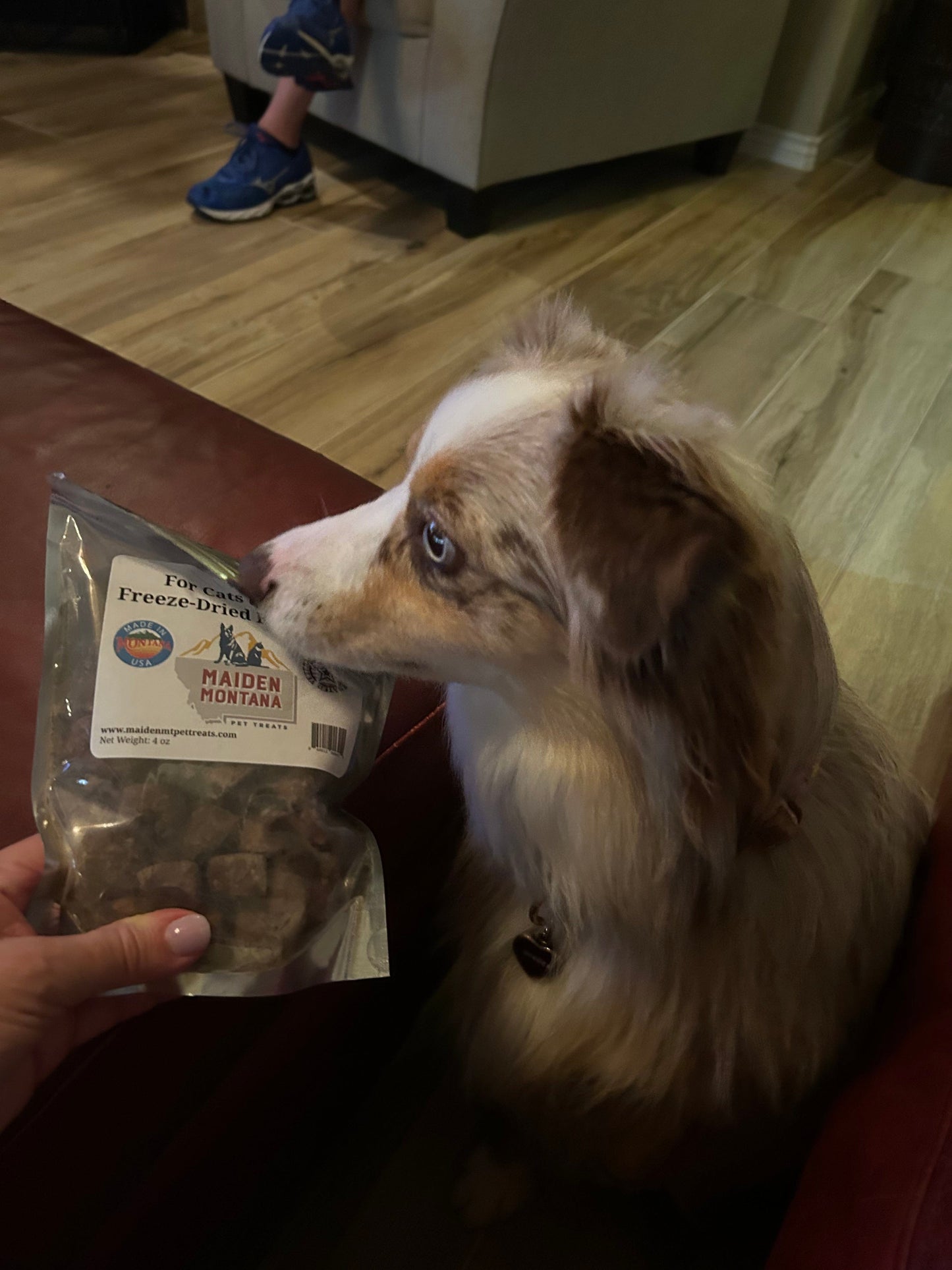 Freeze Dried Beef Liver Treats | 4oz. - gallery image 5