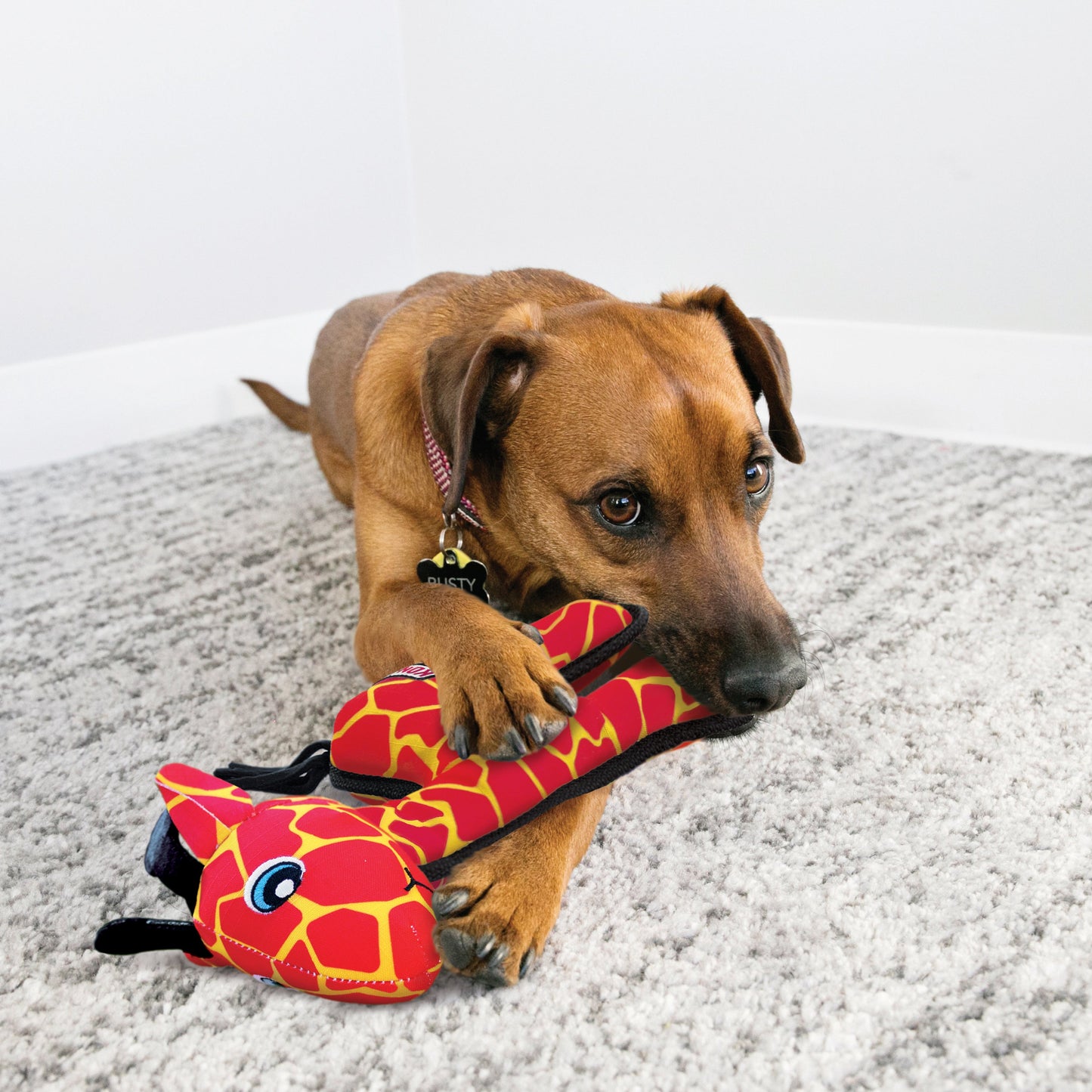 KONG Ballistic Giraffe Medium Large Fetch Dog Toy Durable - detail view