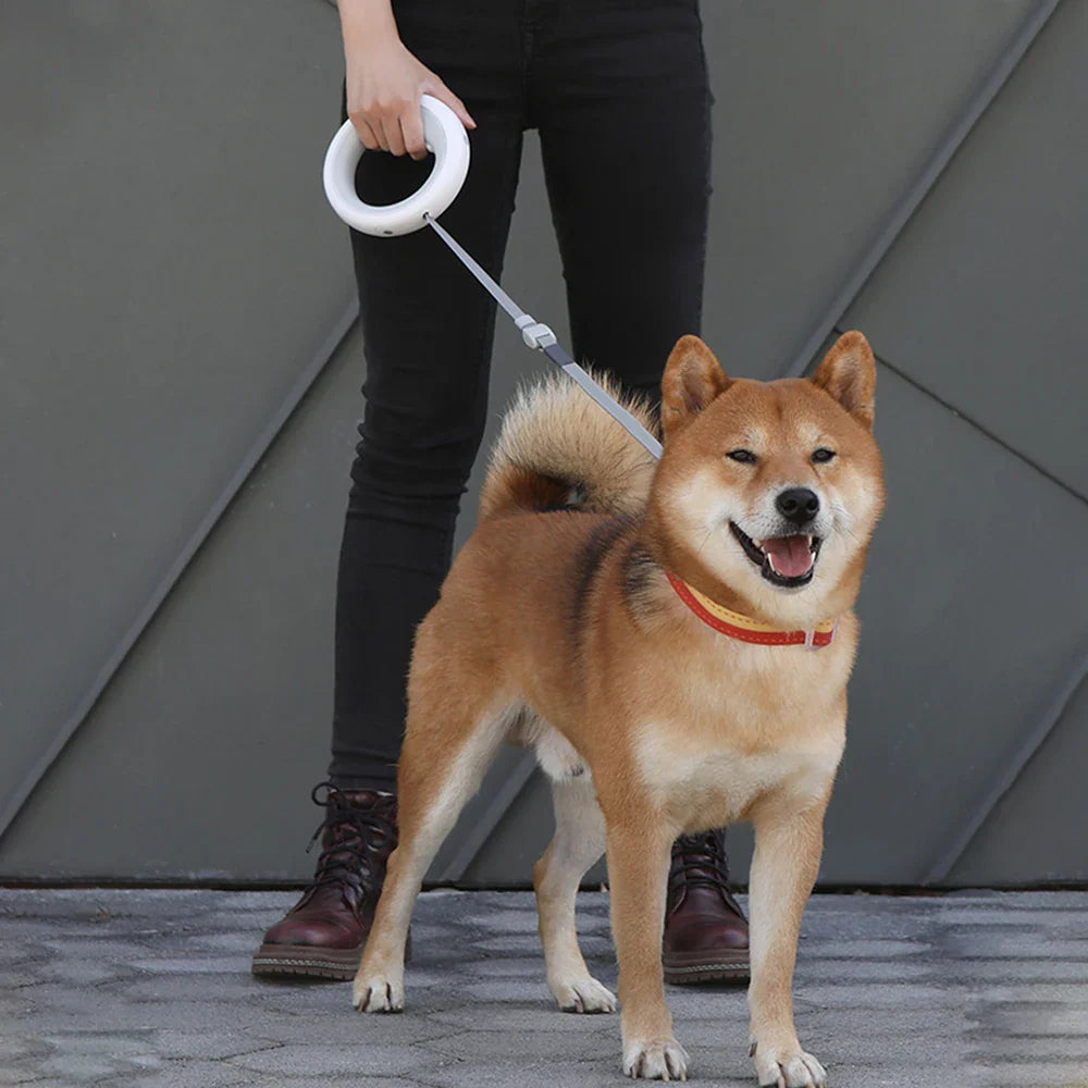 Dog Toys 2 in 1 Retractable Dog Puppy LED Ring lighting Flex - lifestyle view