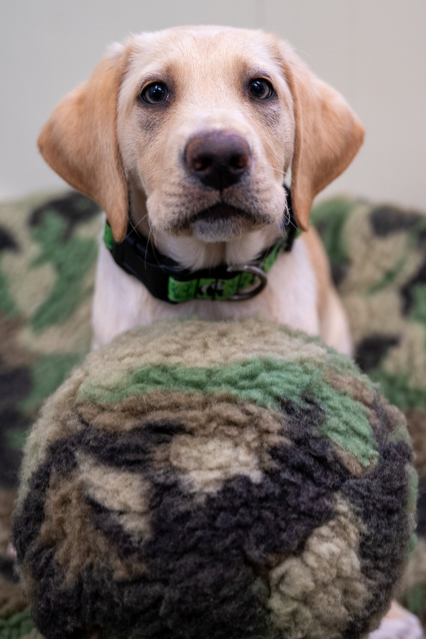 Dog Toy HuggleCause Warrior Canine Connection Camouflage main product image for dogs and cats