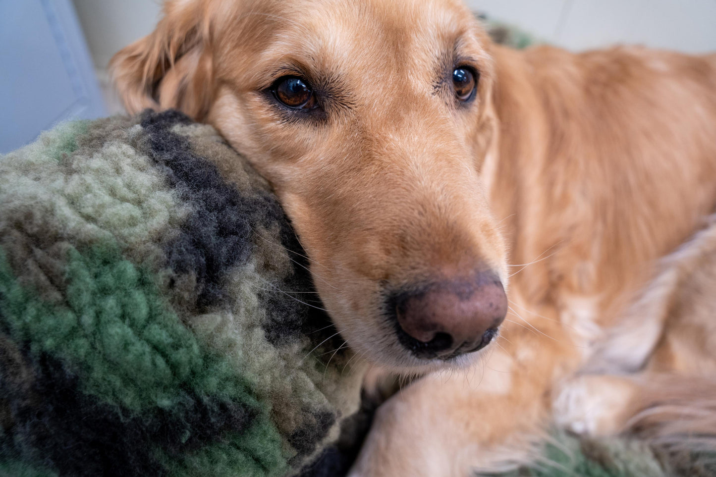 Dog Toy HuggleCause Warrior Canine Connection Camouflage main product image for dogs and cats