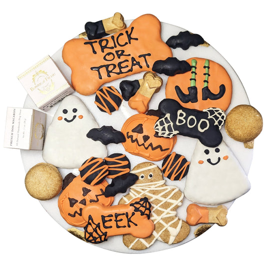 Dog Treats Halloween Themed Treats Gift Box for Daily Use - main product image for dog treats