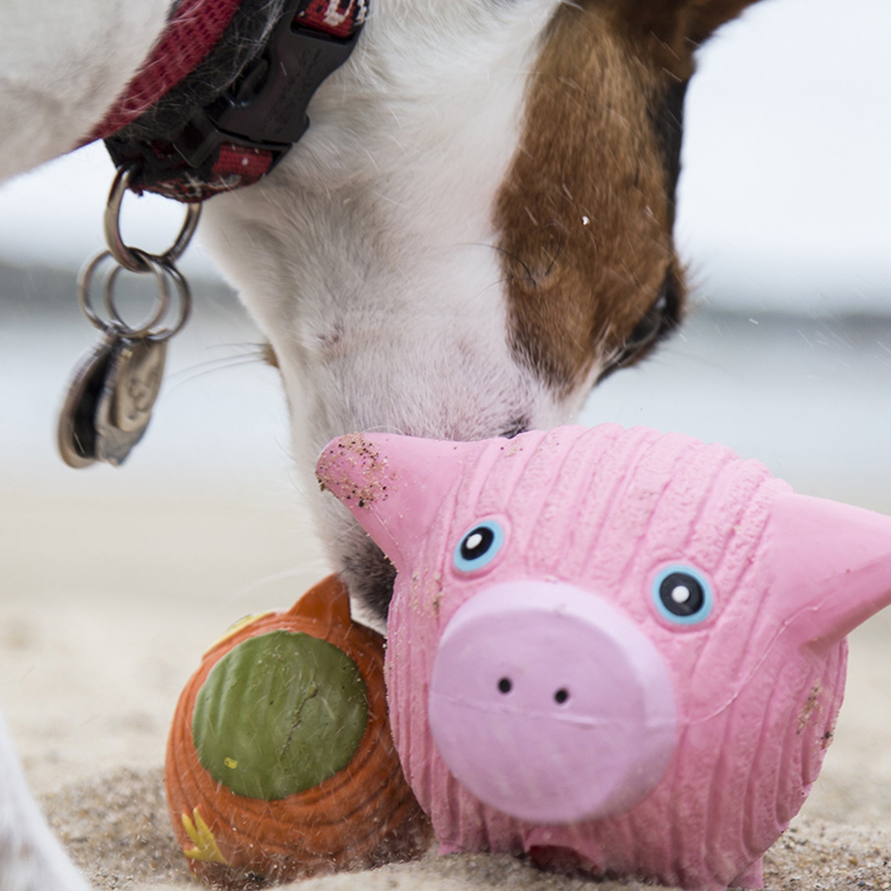 Dog Toy Hamlet Pig Ruff-Tex Latex Ball Toy Large for Comfort main product image for dogs and cats