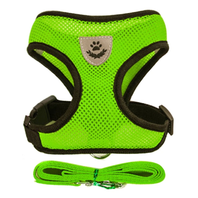 Cat Dog Harness Vest Walking Lead Adjustable Leash Dog Gear - lifestyle view