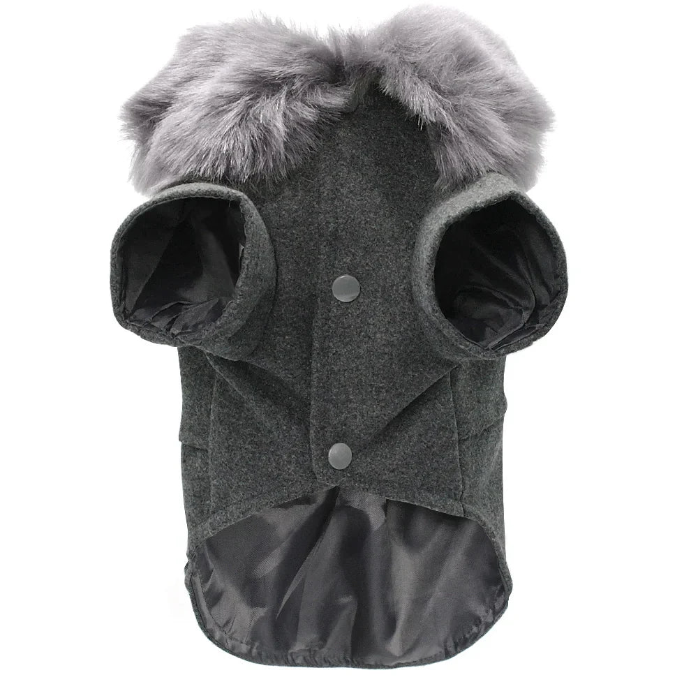 Pet Clothing For Dog Winter Coat For Small Medium Dogs Dog - lifestyle view