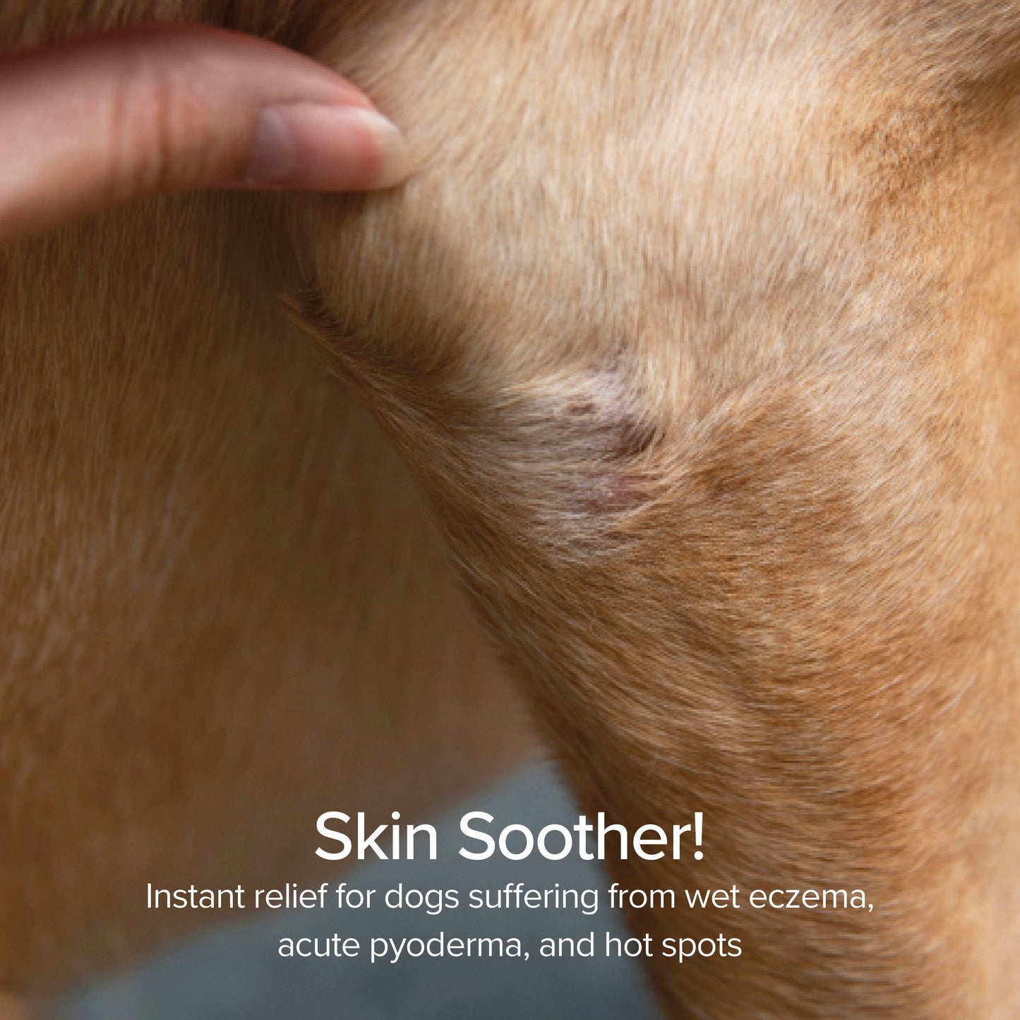 Foaming Hot Spot and Itch Relief - lifestyle view
