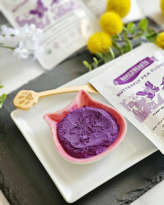 Butterfly Pea Flower Powder Organic Pet Supplements Premium - main product image