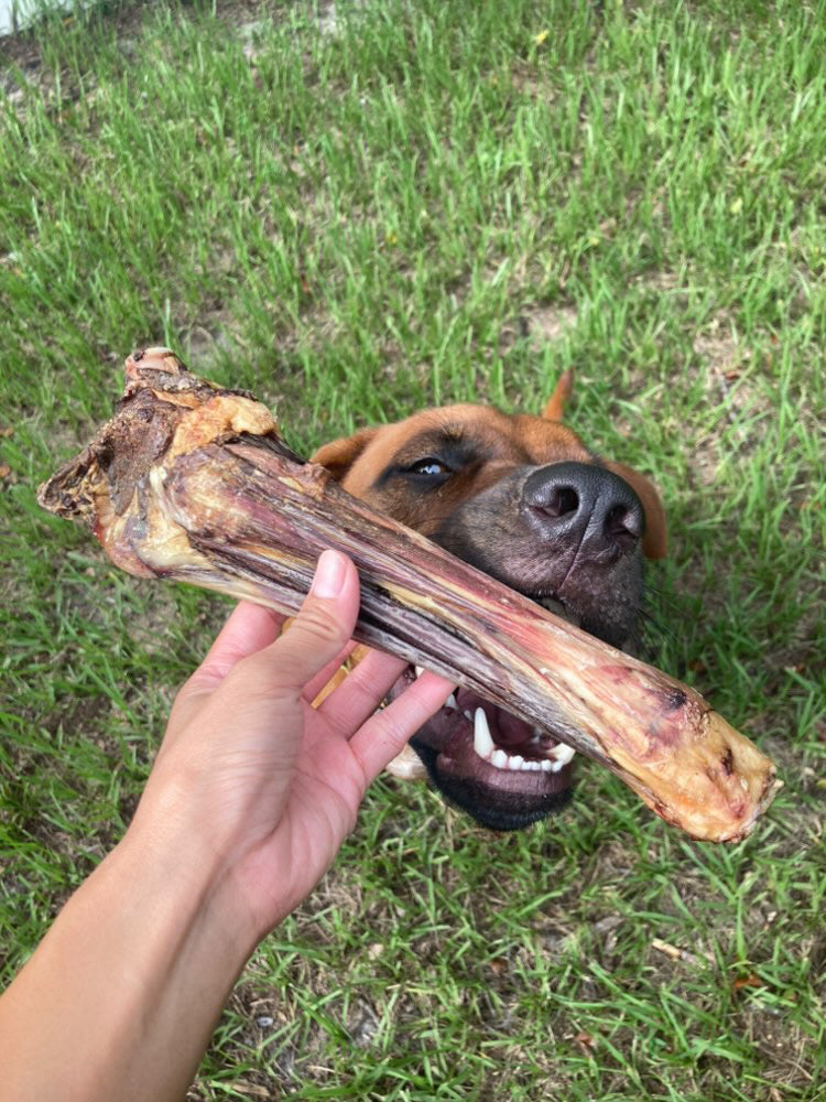 Dog Treats Lamb Shank Single Ingredient Chews Natural Reward - gallery image 5