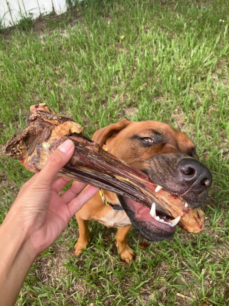 Dog Treats Lamb Shank Single Ingredient Chews Natural Reward - gallery image 6