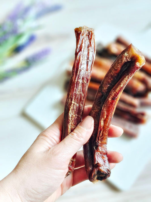 Dog Treats Beef Pizzle Single Ingredient Chews Natural Rewar - detail view