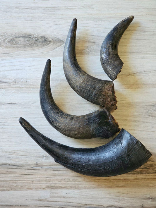 Dog Treats Bison Treat Single Ingredient Chews Natural Rewar - main product image