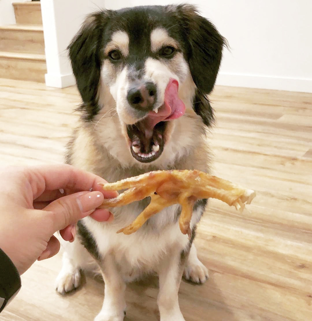Dog Treats Chicken Feet Single Ingredient Chews Natural Rewa - close up view