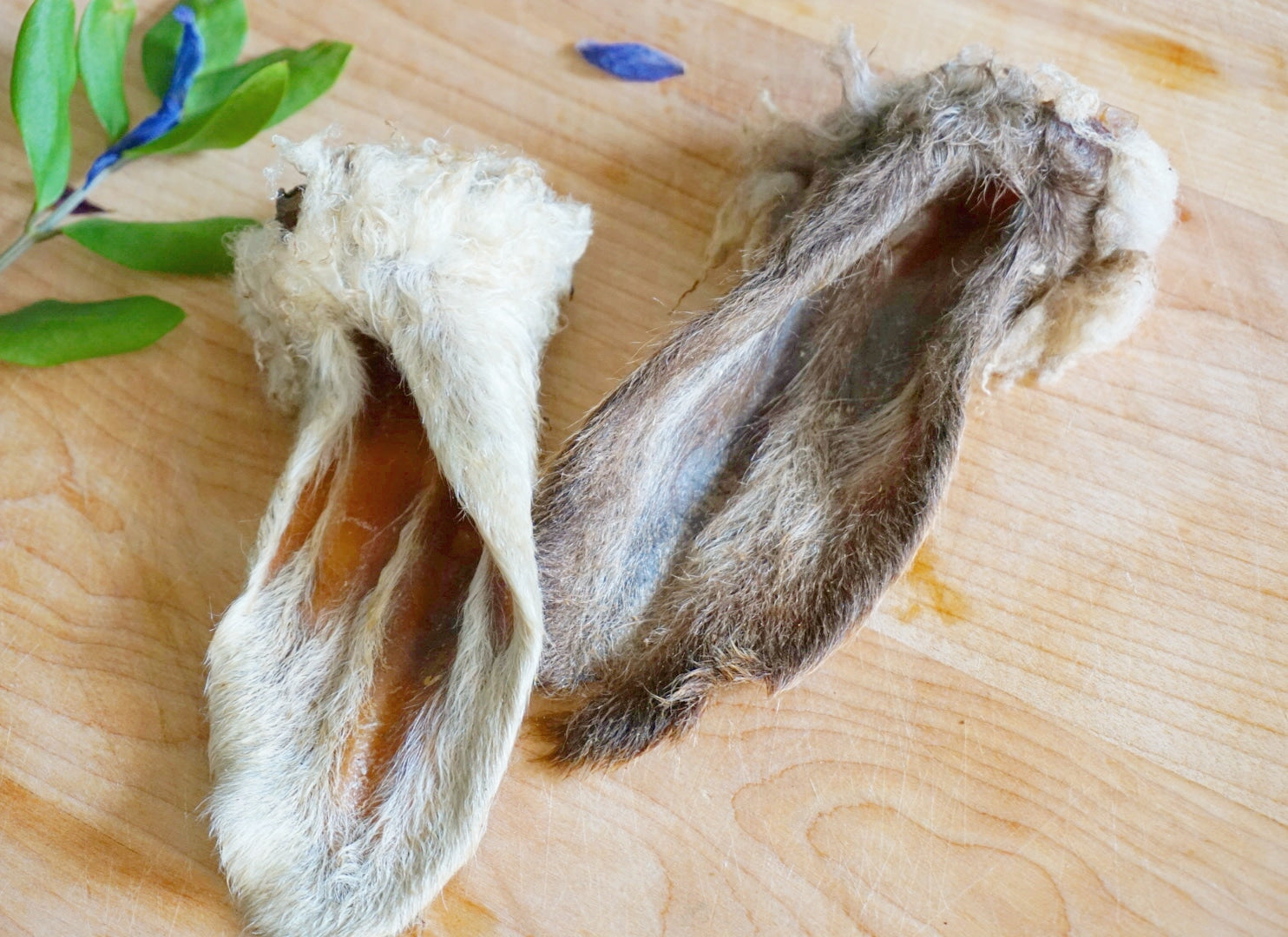 Dog Treats Lamb Ears Single Ingredient Chews Natural Reward - main product image