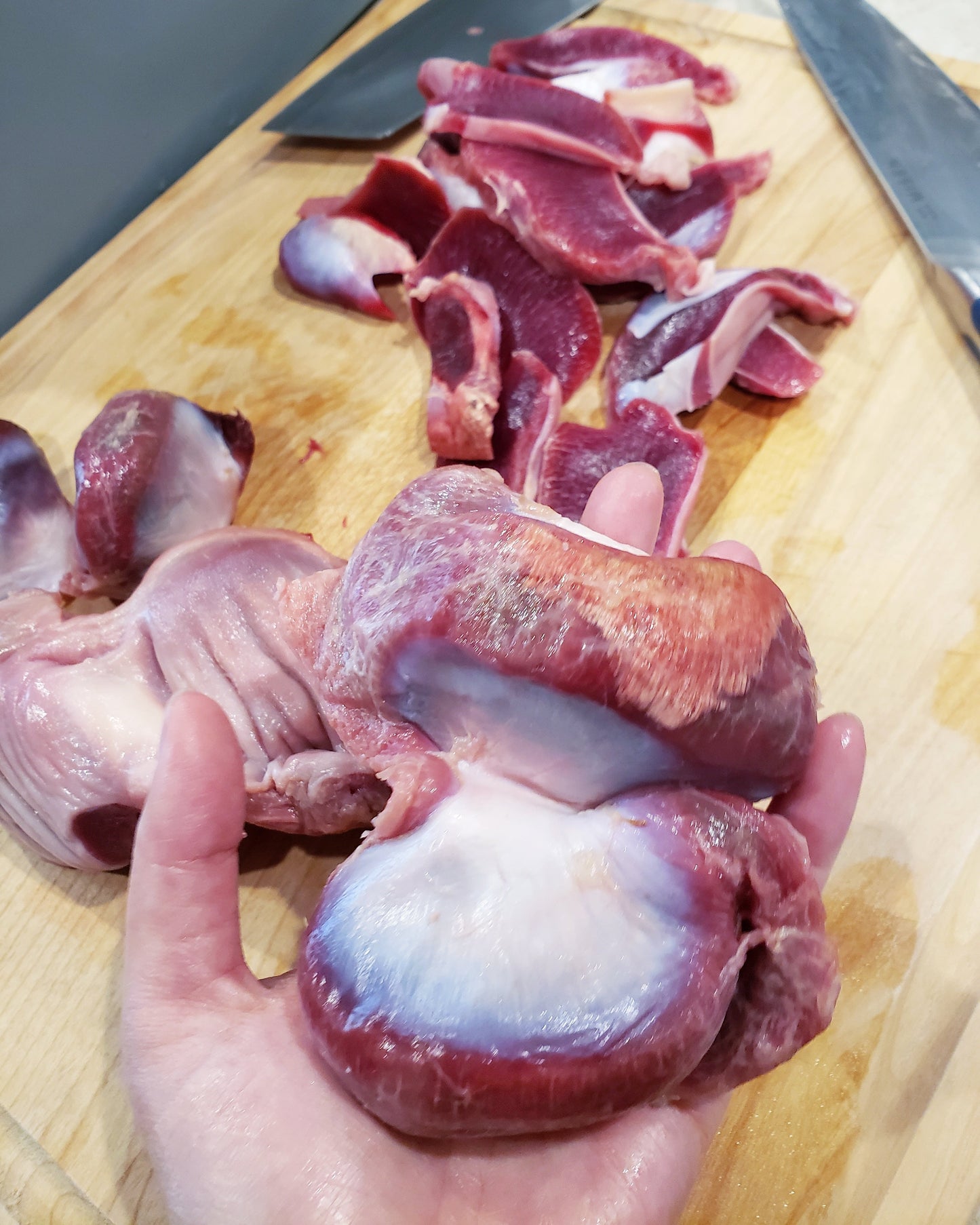 Dog Treats Turkey Gizzard Single Ingredient Chews Natural - lifestyle view