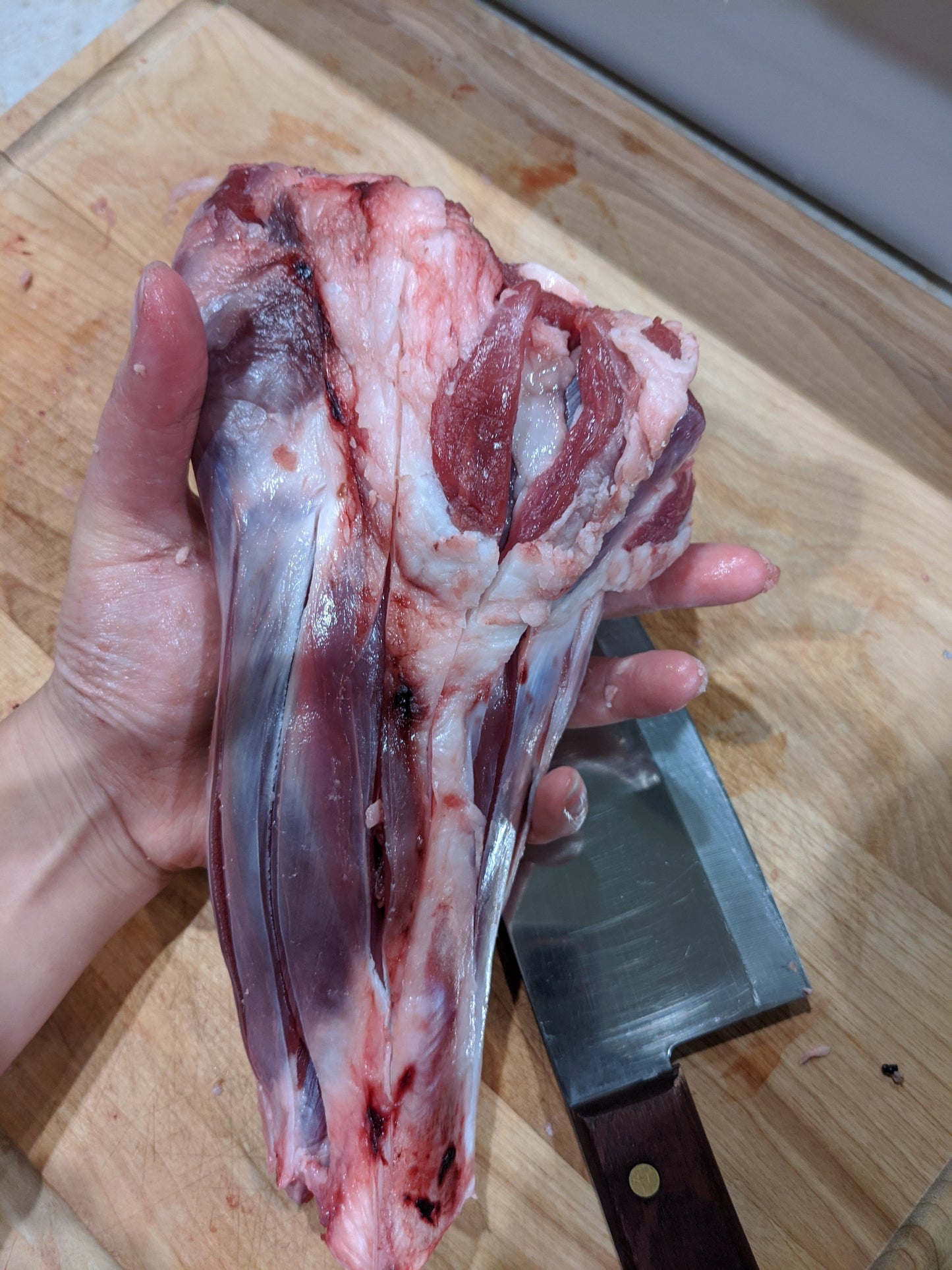 Dog Treats Lamb Shank Single Ingredient Chews Natural Reward - close up view