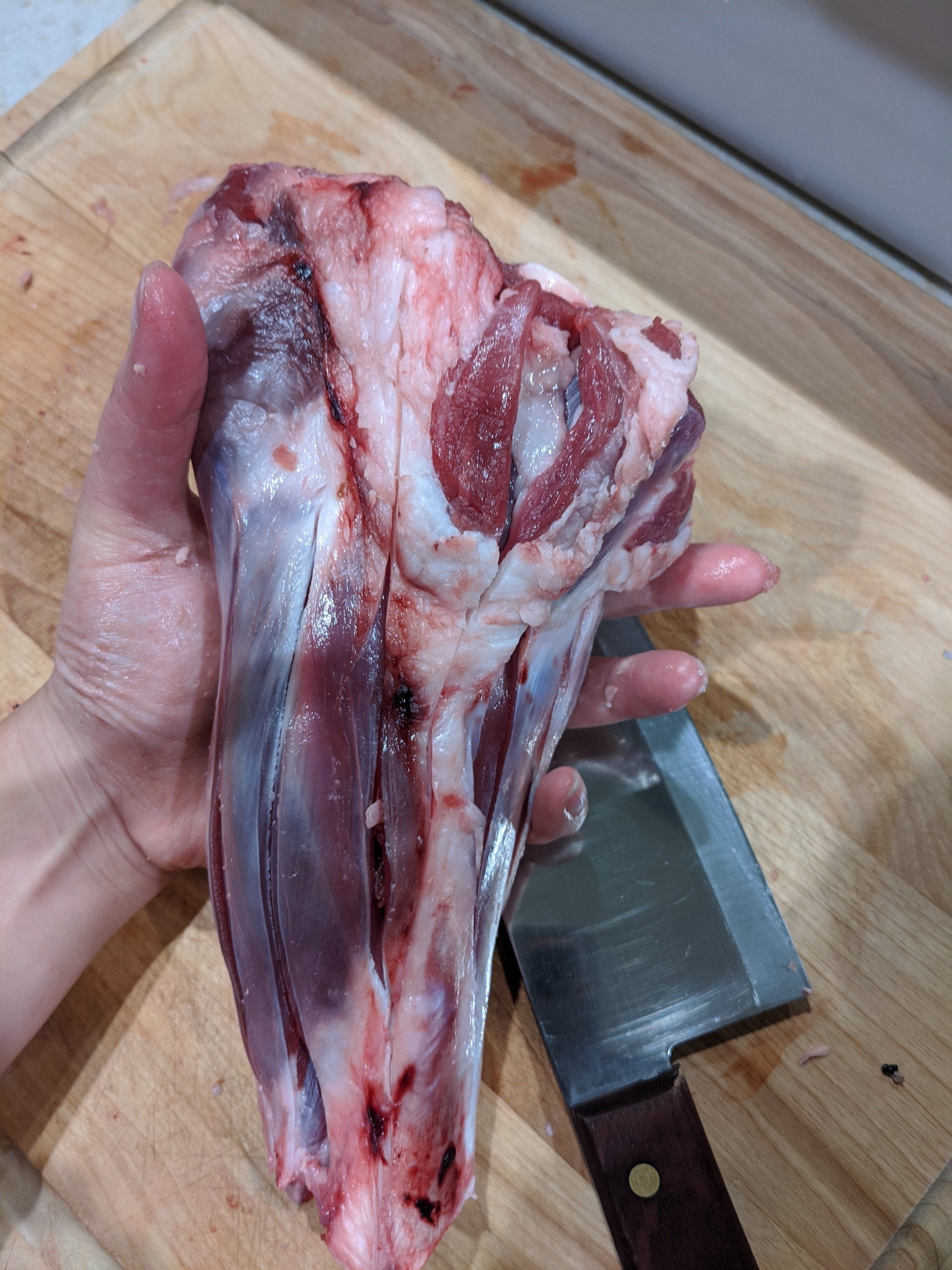 Dog Treats Lamb Shank Single Ingredient Chews Natural Reward - close up view