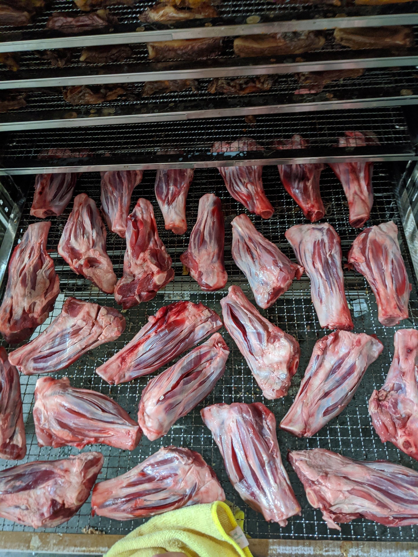 Dog Treats Lamb Shank Single Ingredient Chews Natural Reward - gallery image 12
