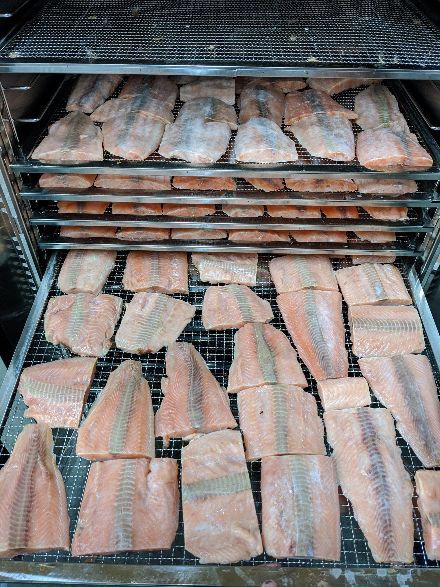 Dog Treats Salmon Fillet Single Ingredient Chews Natural Rew - close up view