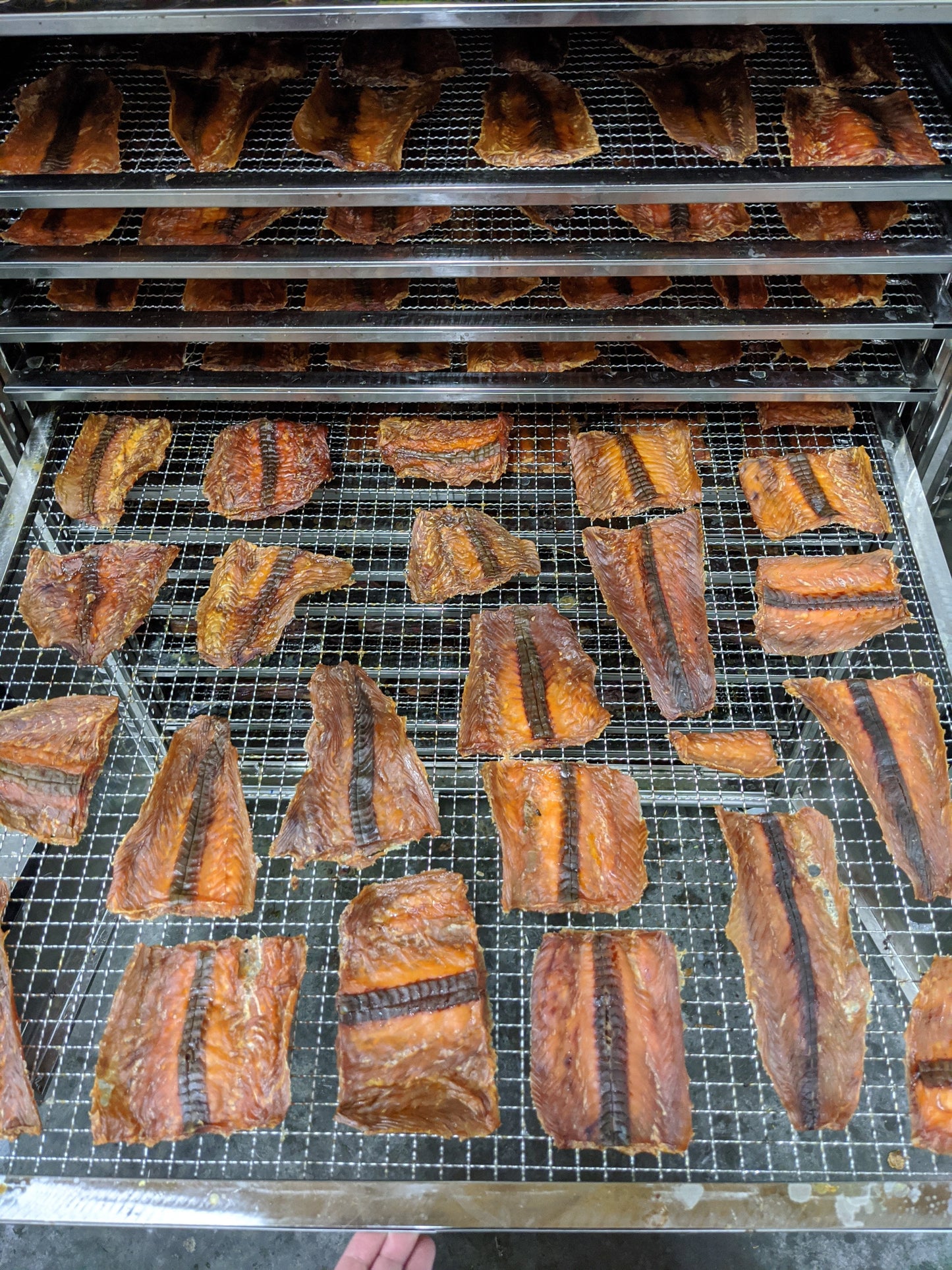 Dog Treats Salmon Fillet Single Ingredient Chews Natural Rew - gallery image 5