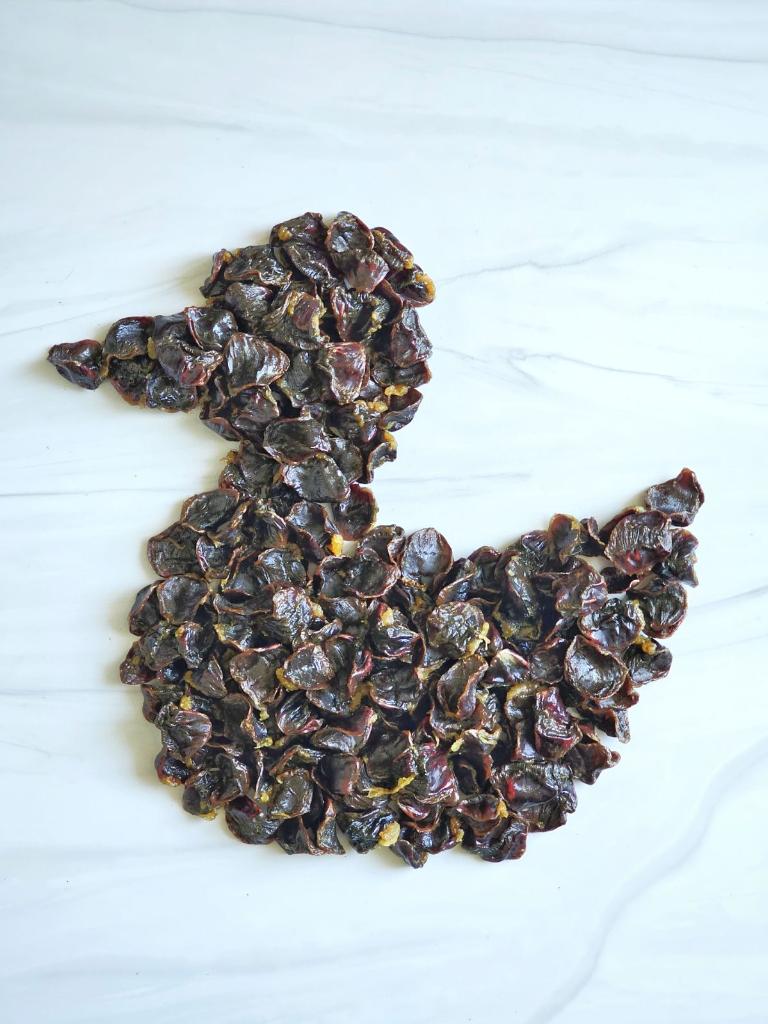 Duck Gizzards Abf Dog Treats Premium Premium Pet Supply - main product image