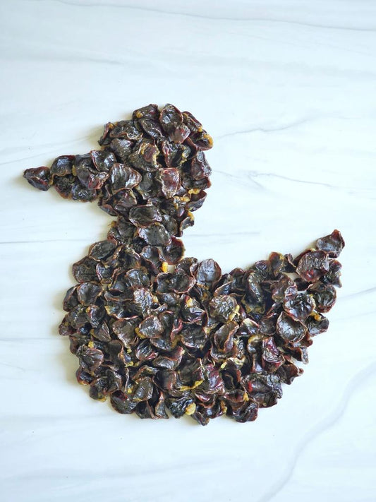 Duck Gizzards Abf Dog Treats Premium Premium Pet Supply - main product image