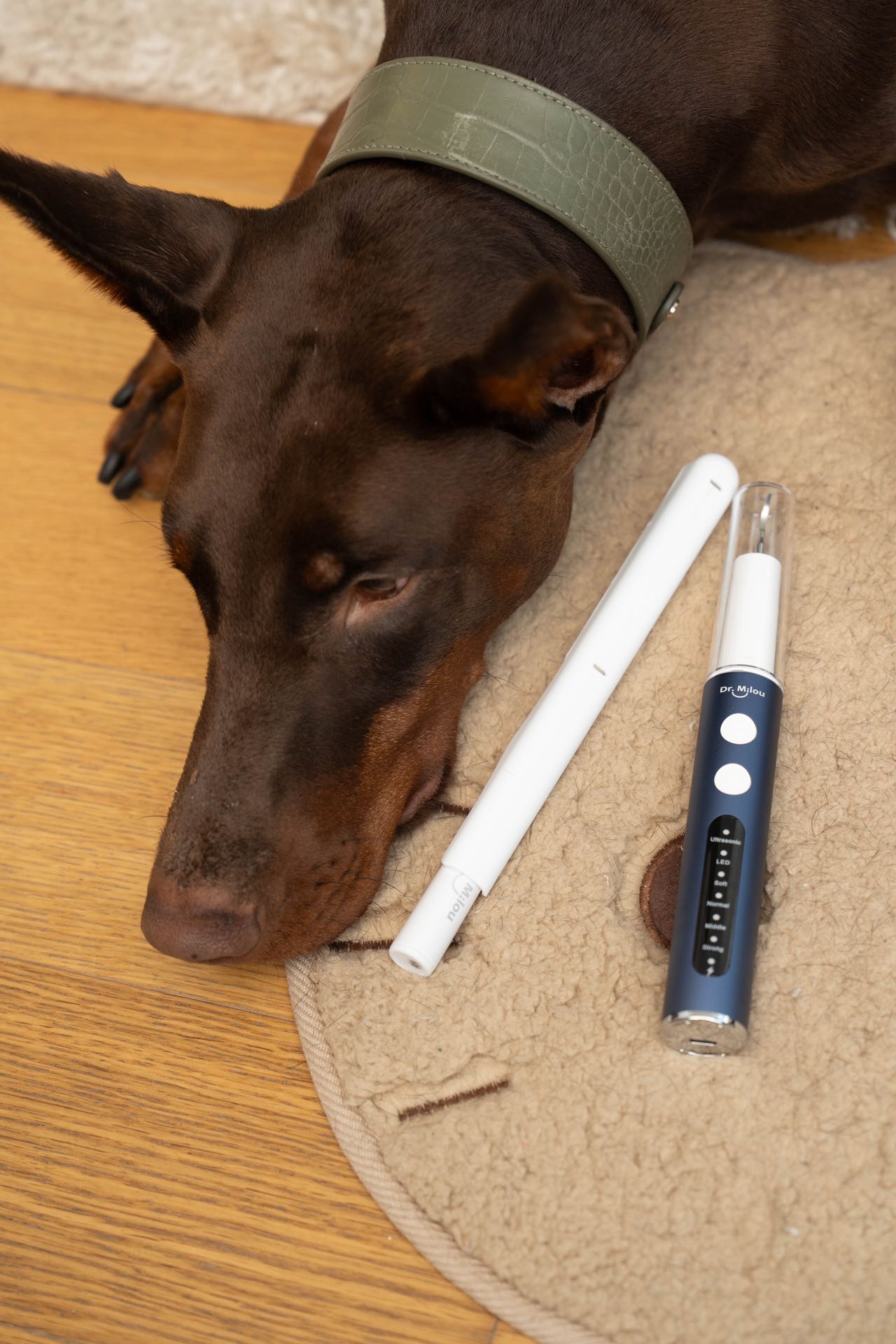 Anesthesia-Free Pet Dental Cleaning Kit: Professional Ultrasonic Tartar Remover & Electric Toothbrush for Dogs & Cats by Dr.