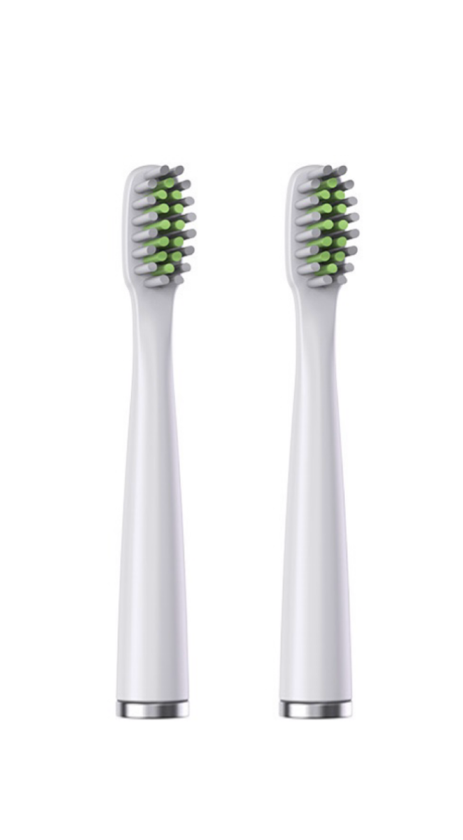 Replacement Brush Heads (2 Pack) - Advanced Pet Electric Toothbrush - main product image