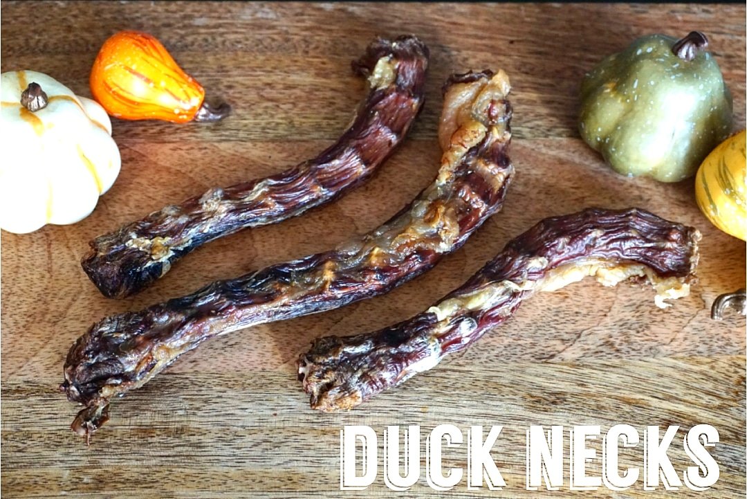 Duck Necks Dog Treats Premium Premium Pet Supply - gallery image 7
