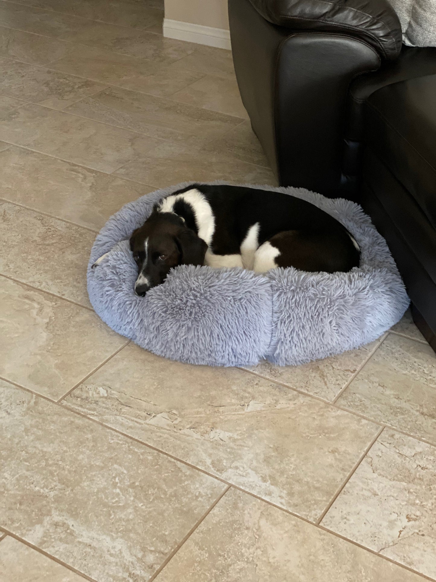 Mr. Peanut's 28" OrthoPlush� Pet Bed - Snowflake White Two Tone - gallery image 21