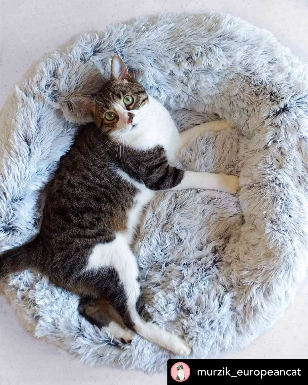 Mr. Peanut's 28" OrthoPlush� Pet Bed - Snowflake White Two Tone - gallery image 6