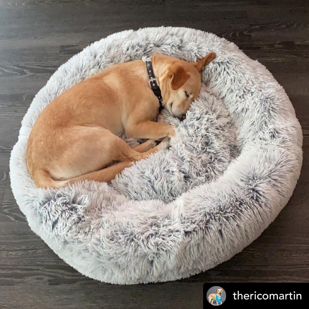 Mr. Peanut's 28" OrthoPlush� Pet Bed - Snowflake White Two Tone - detail view