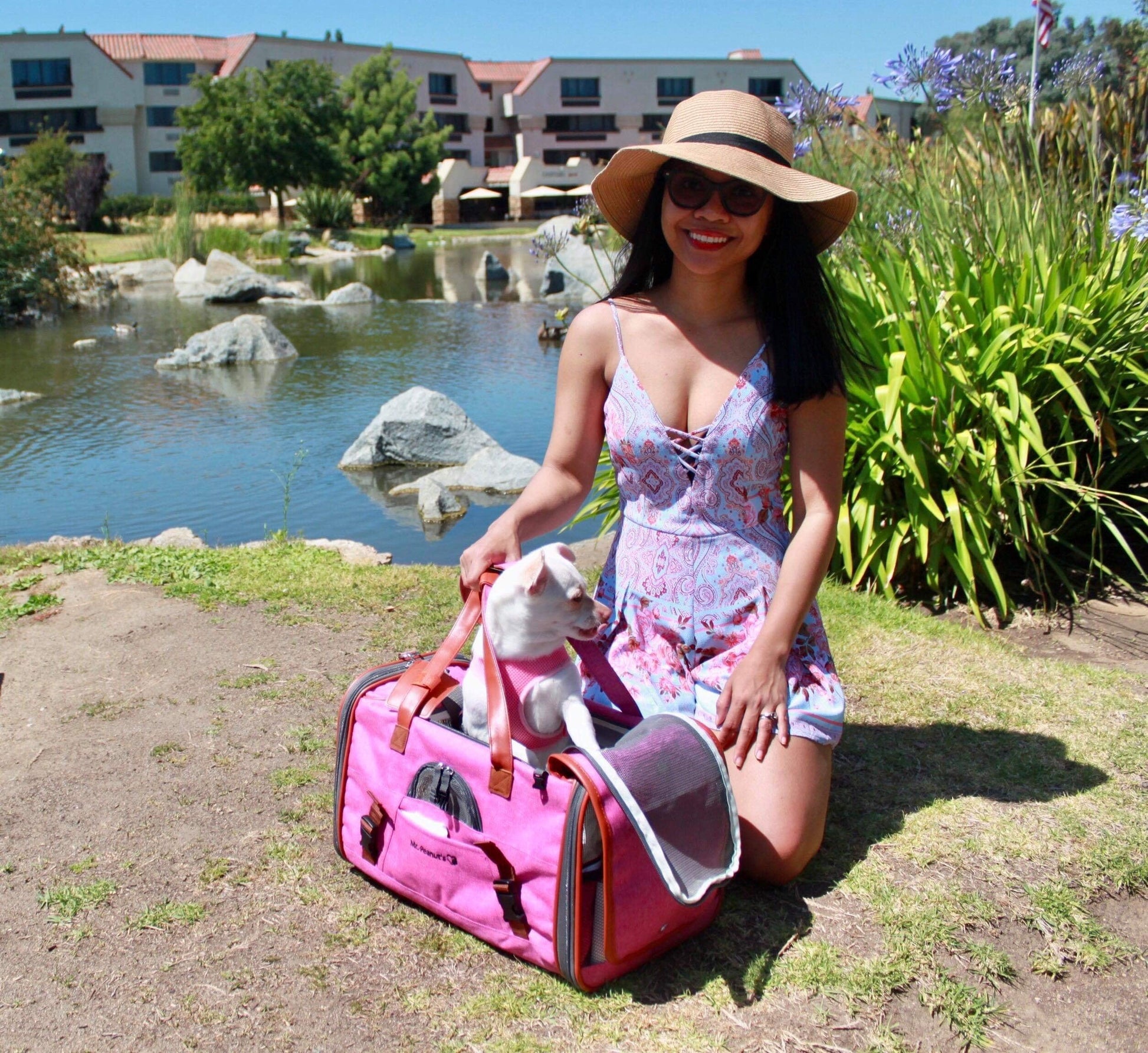 Mr. Peanut's Gold Series Standard Size Airline Compliant Pet Carrier - gallery image 20