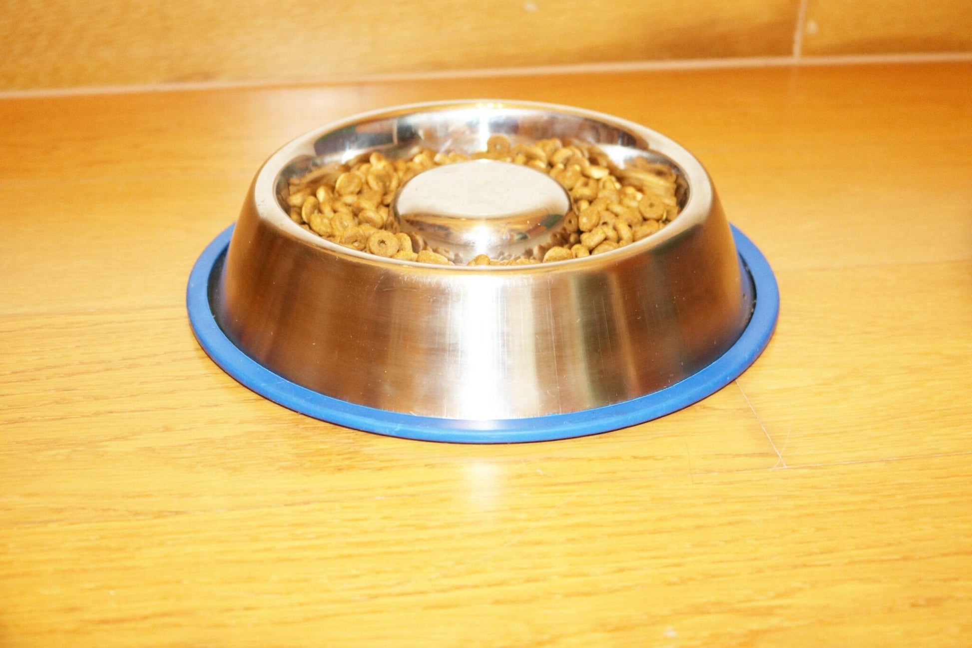 Mr. Peanut's Slow Feed Anti Bloat Dog Bowl with Bonded Silicone Base - gallery image 9