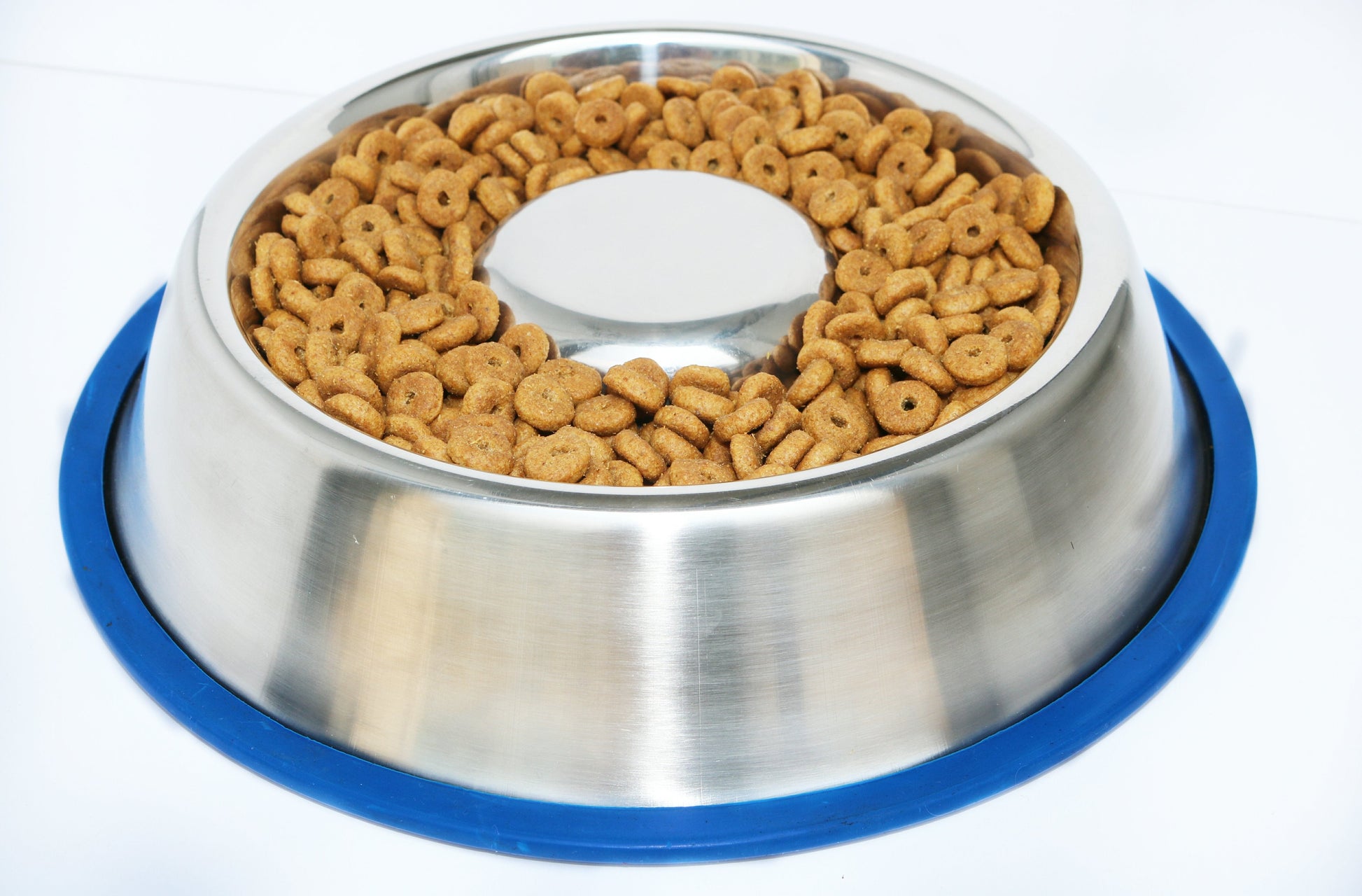 Mr. Peanut's Slow Feed Anti Bloat Dog Bowl with Bonded Silicone Base - lifestyle view