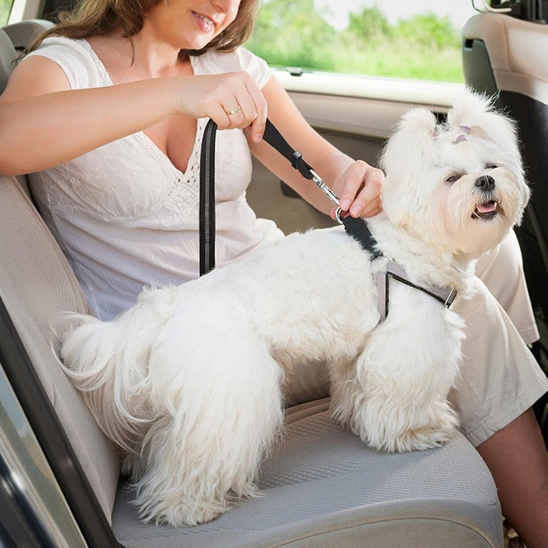 Adjustable Pet Car Seat Belt - gallery image 6