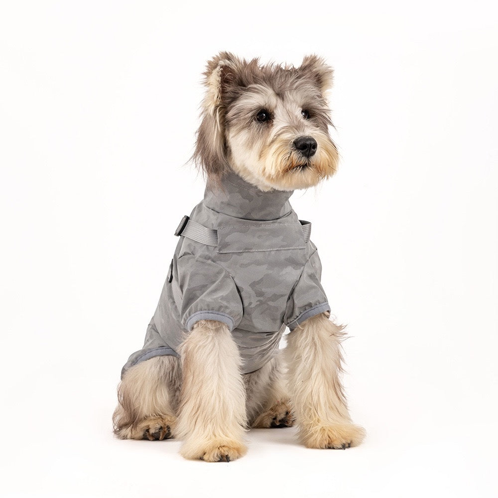 Dog Waterproof Reflective Jacket with Harness - lifestyle view