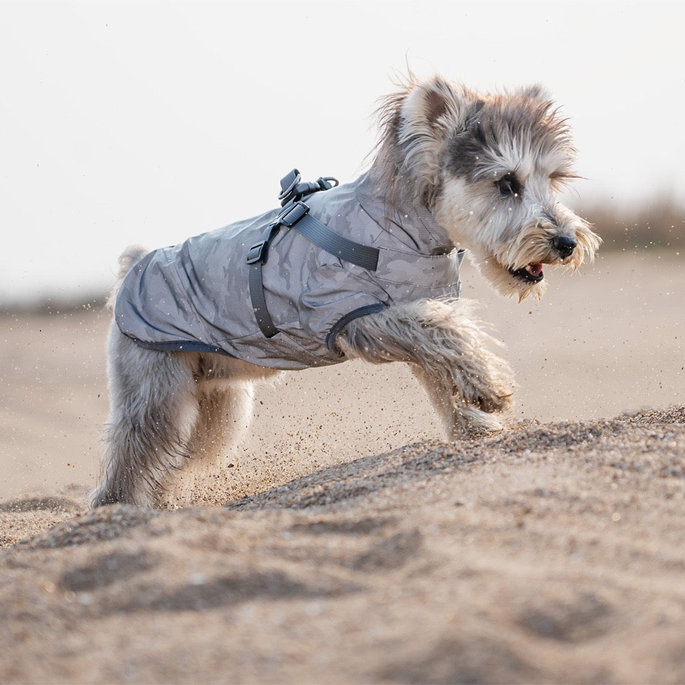 Dog Waterproof Reflective Jacket with Harness - gallery image 11