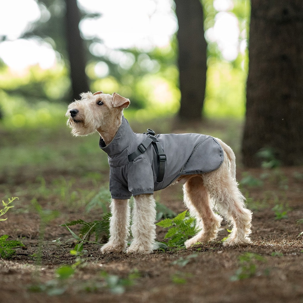 Dog Waterproof Reflective Jacket with Harness - gallery image 10