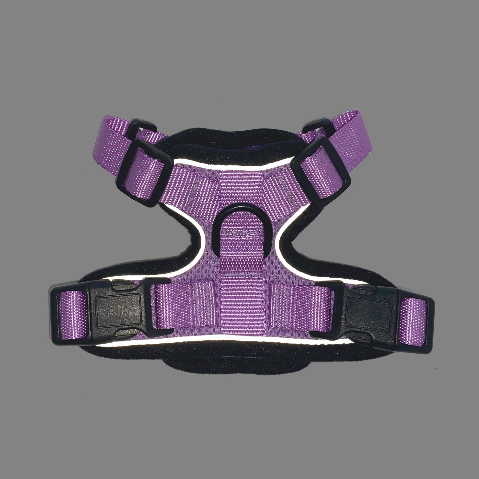 Mr. Peanut's PurrTrek Reflective Cat Harness with Matching Leash - gallery image 25