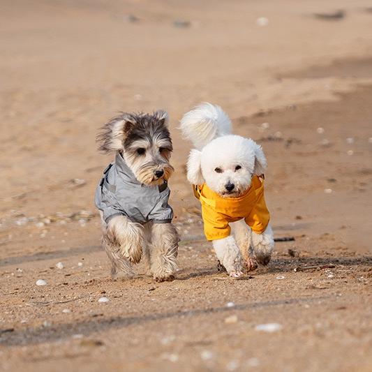 Dog Waterproof Reflective Jacket with Harness - gallery image 8