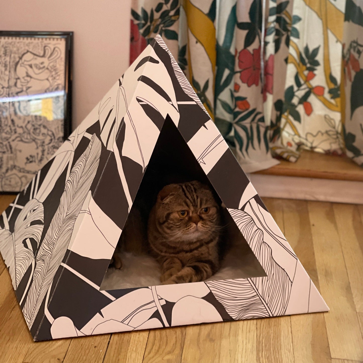 'Dark Paradise' Cardboard Cat Pyramid - detail view