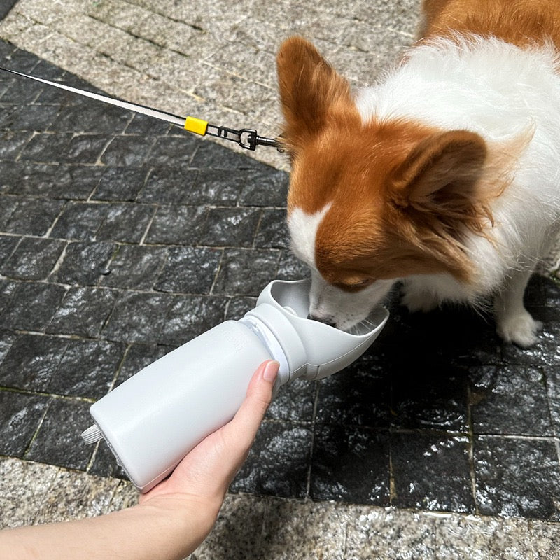 Portable Collapsible Pet Water Bottle Dog Travel Accessories - detail view